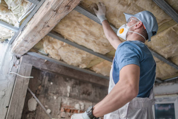 Best Geographic-Specific Insulation Services in Grinnell, IA